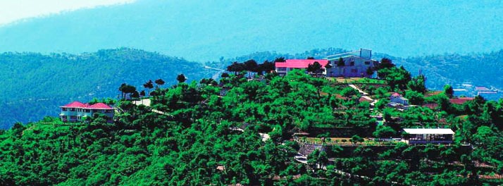 1867/Classic Hill Top Resort - Chamba 15.jpg